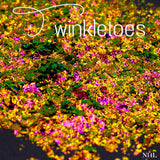 Chameleon/Chroma Flakes - 18 Colors