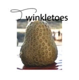 Straw Topper Molds, 25 Styles